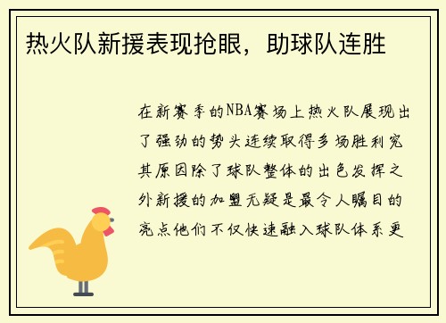 热火队新援表现抢眼，助球队连胜