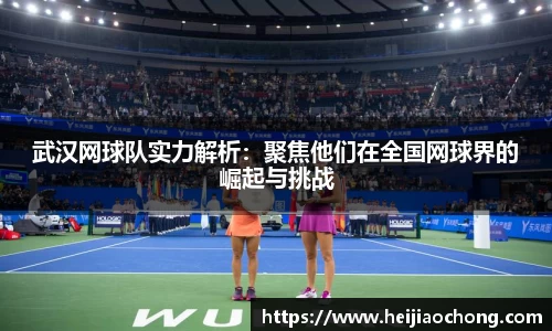 武汉网球队实力解析：聚焦他们在全国网球界的崛起与挑战